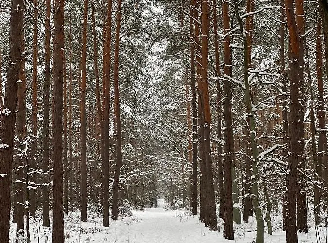 Dom Na Cuplu Вилла *